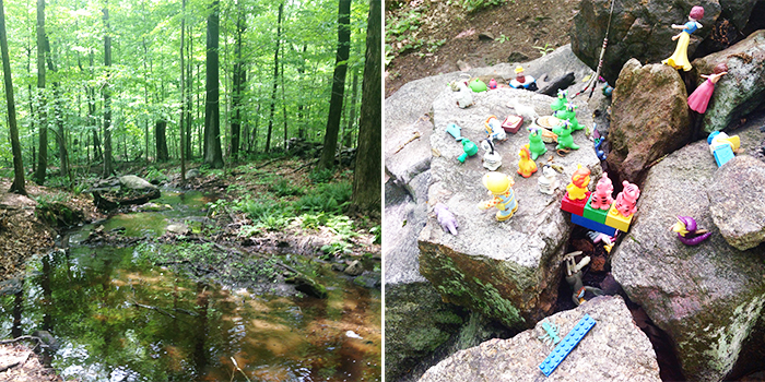 HardscrabbleWildrenessArea